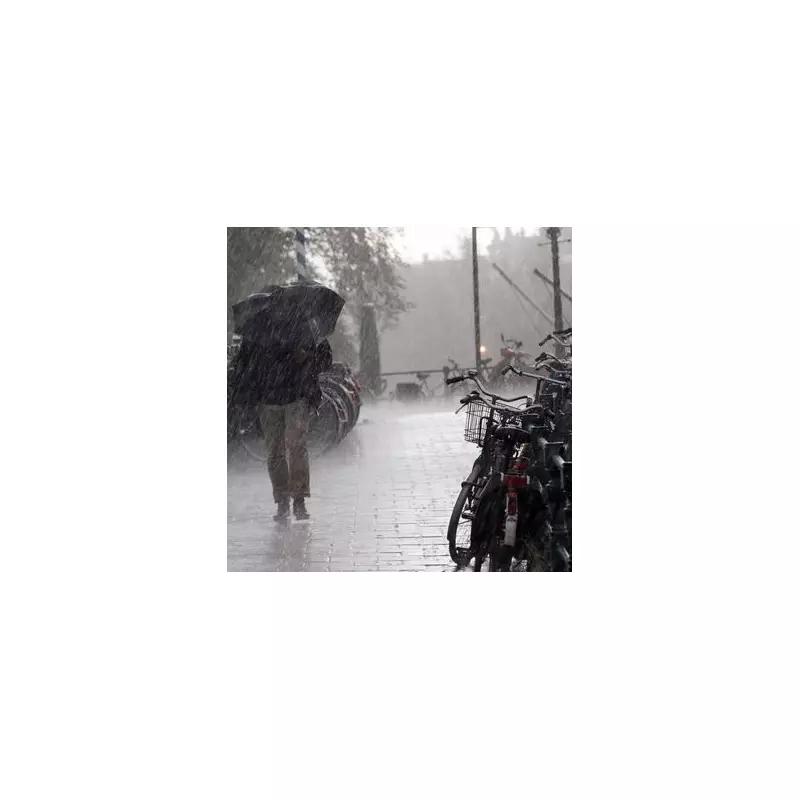 Birmingham Braces for Winter Deluge: 18.3mm of Rain and Snow Forecast