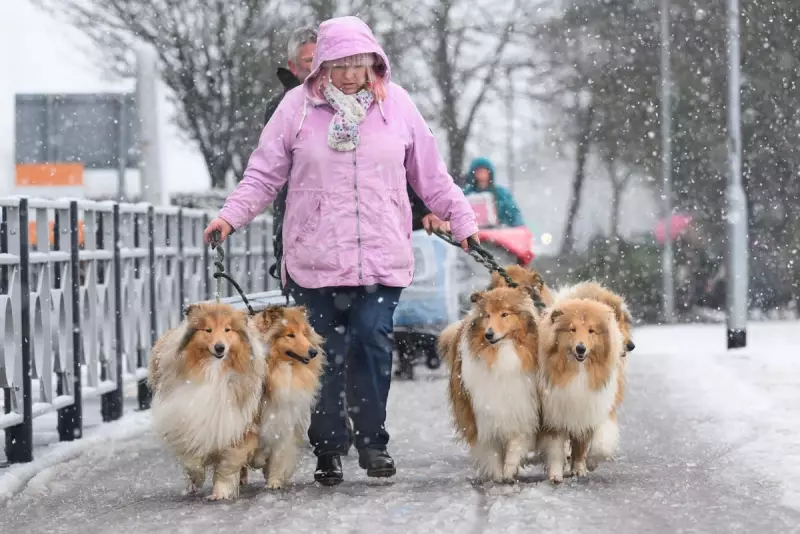 Birmingham Bus Services Hit by Icy Weather: Key Route Diversions