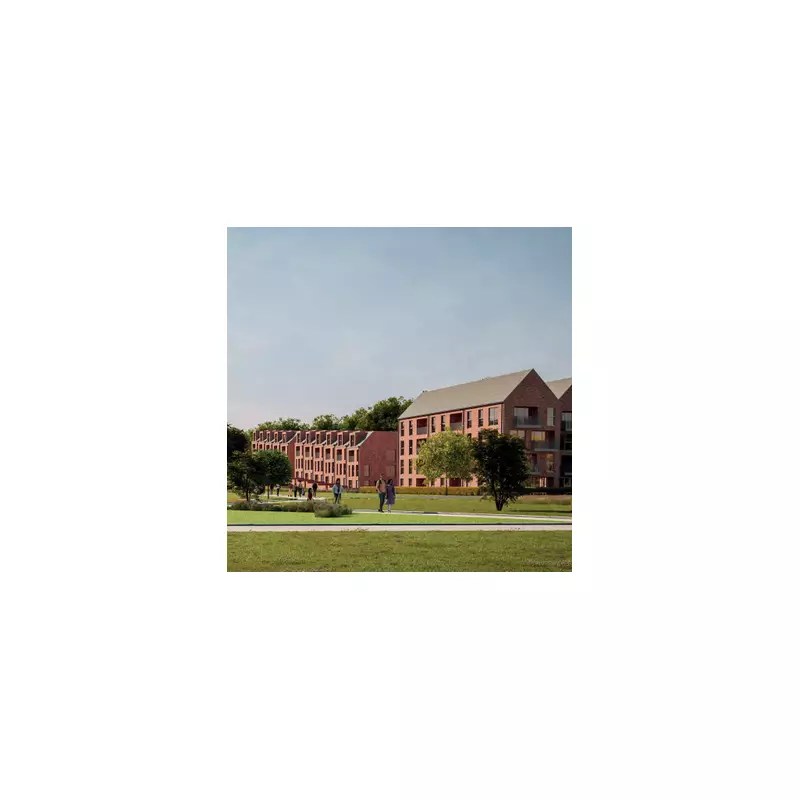 Birmingham Council's Druids Heath Regeneration Hits Legal Snag Over Affordable Housing