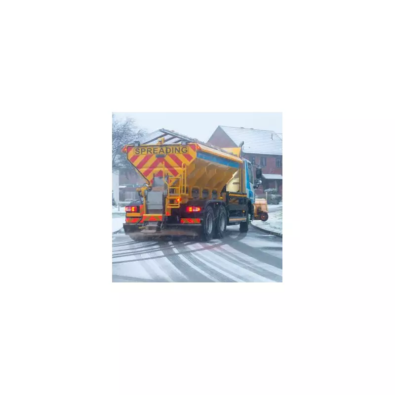 Birmingham Council's Gritting Dilemma: Teens Step In as More Snow Looms