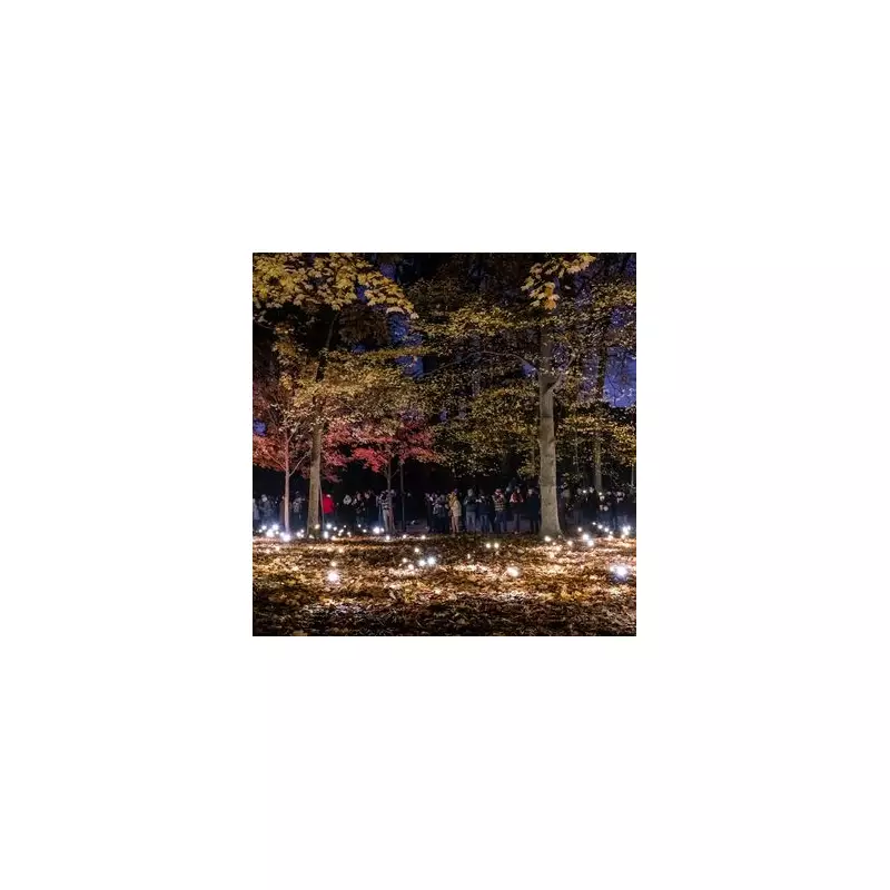 Birmingham Light Festival 2026: Fireflies, Fire Shows & Free Illuminations