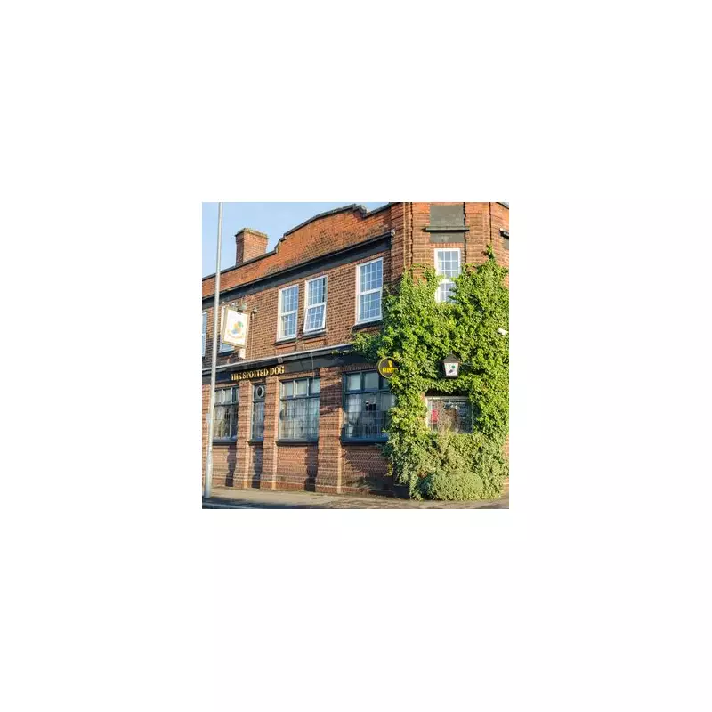 Birmingham Pub Offers 100 Free 'Proper Pints' to Beat January Blues