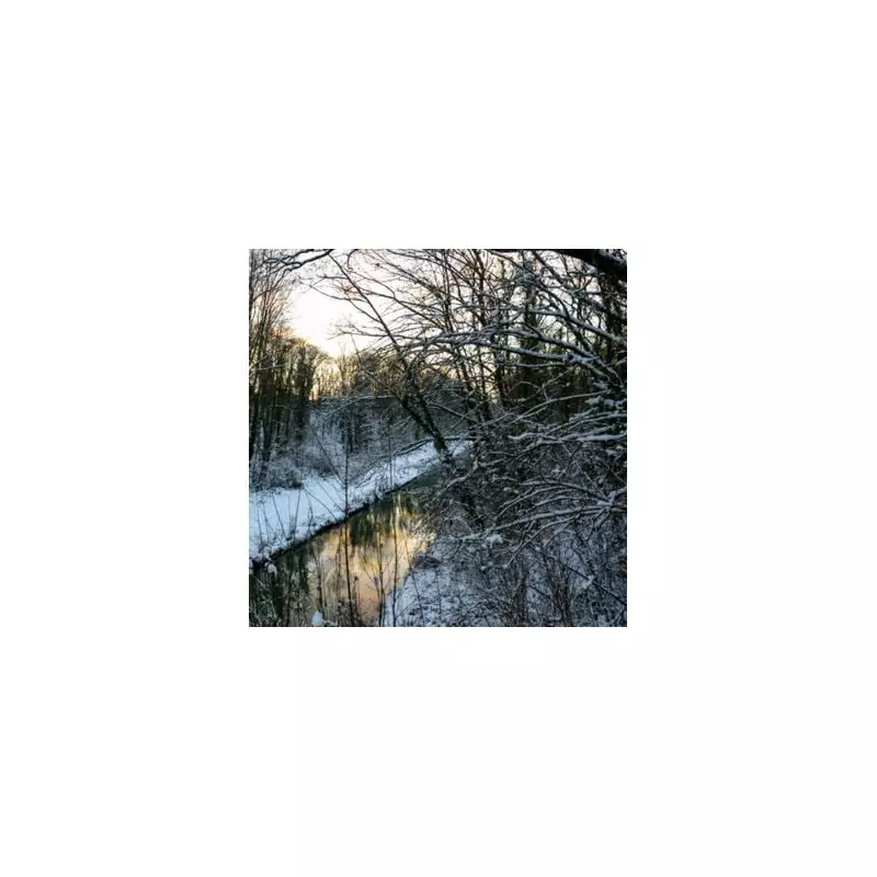 Birmingham Snow Timeline: 11 Inches to Hit from 5pm Thursday