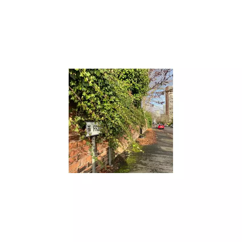 Birmingham's 'Gaza' Tower: Edgbaston's £1.5m Homes Blighted by Derelict Eyesore