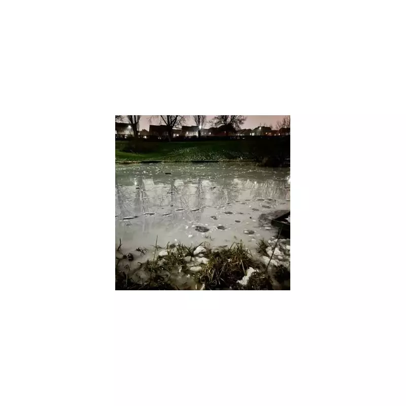 Body of Missing Woman Eileen Recovered from Frozen Sheffield Pond