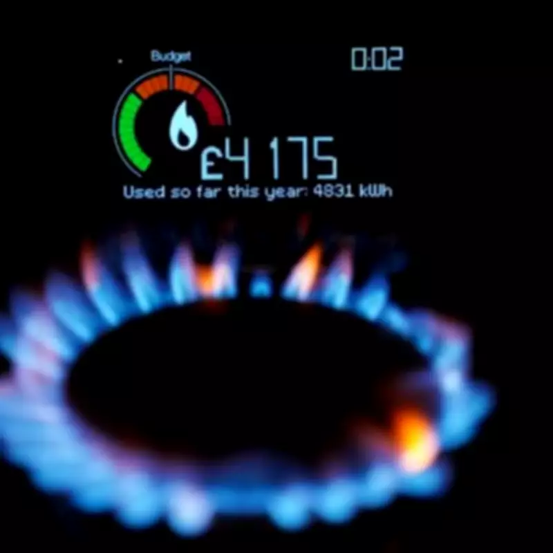 British Gas Issues Five Energy-Saving Tips for £259 Annual Bill Reduction