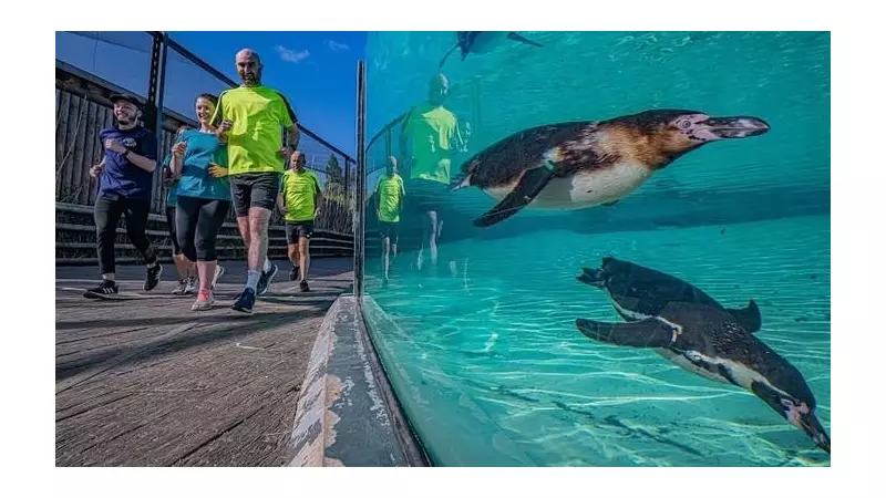 Chester Zoo's Run For Nature Returns in Spring 2026 to Support UK Wildlife