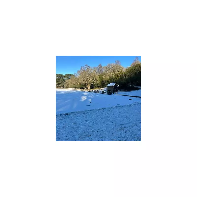 Children Risk Lives on Frozen Sutton Park Lake, Ignoring Ice Danger Warnings