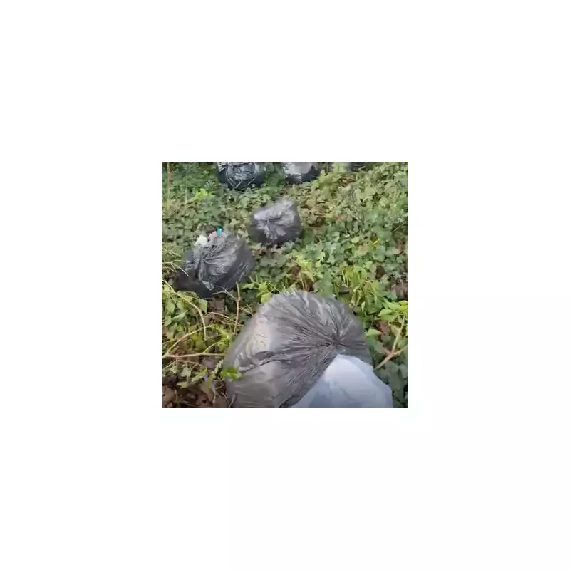 Coventry Resident Fined Over £4,100 for Illegal Waste Dumping in Birmingham