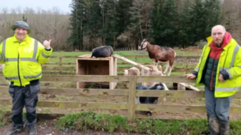 Duckyls Farm Seeks Care Farm Instructor in East Grinstead