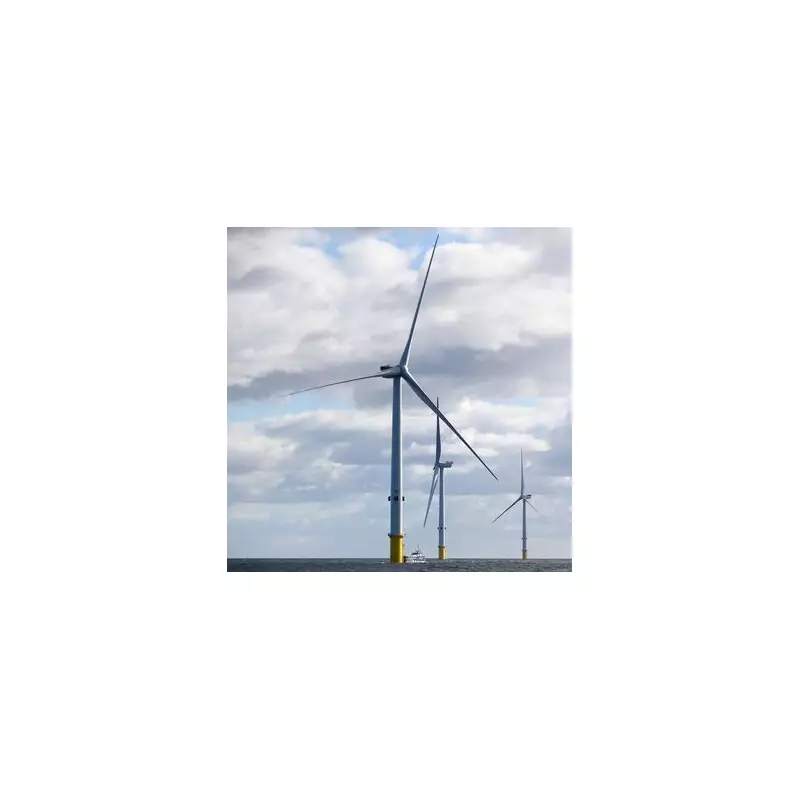 EDF scraps Blyth 2 floating wind farm expansion in Northumberland