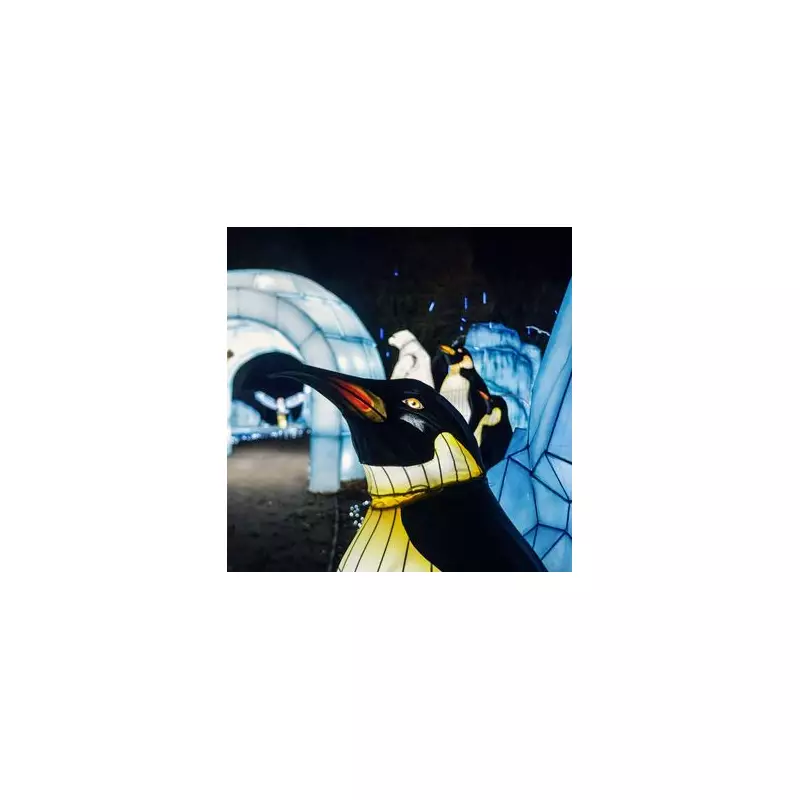 February Half Term Activities in Birmingham: Free Events & Family Discounts