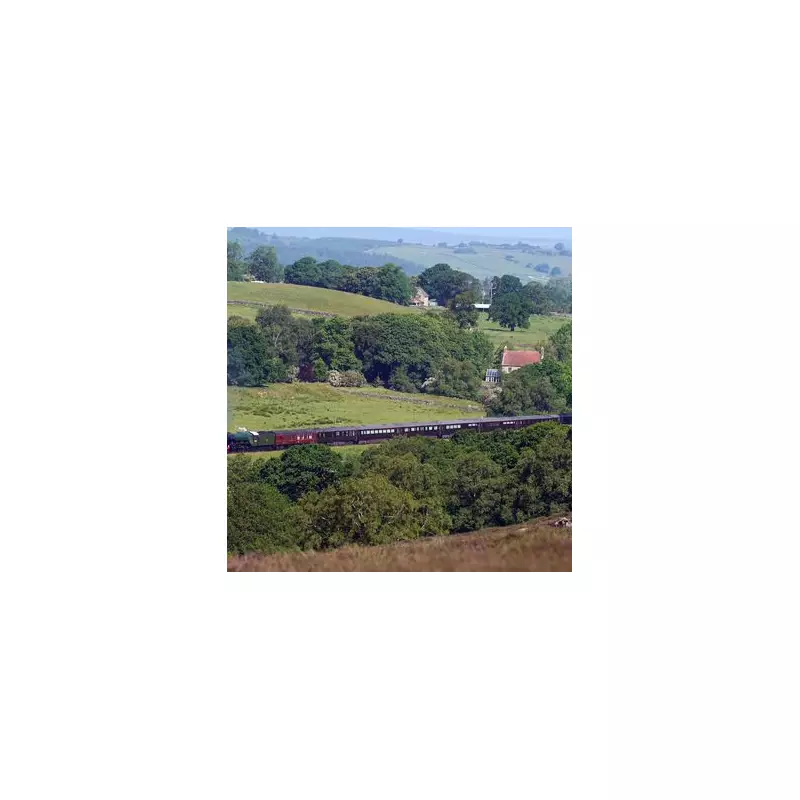 Flying Scotsman Birmingham Timetable: Spot the Steam Locomotive