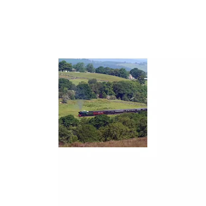 Flying Scotsman's Birmingham Visit: Timetable and Viewing Guide