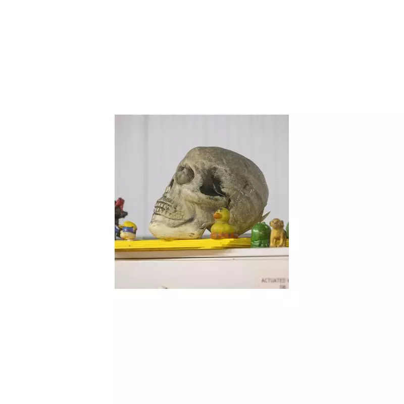 Inside Birmingham's Sewage Plant: The Shocking Items Flushed Daily