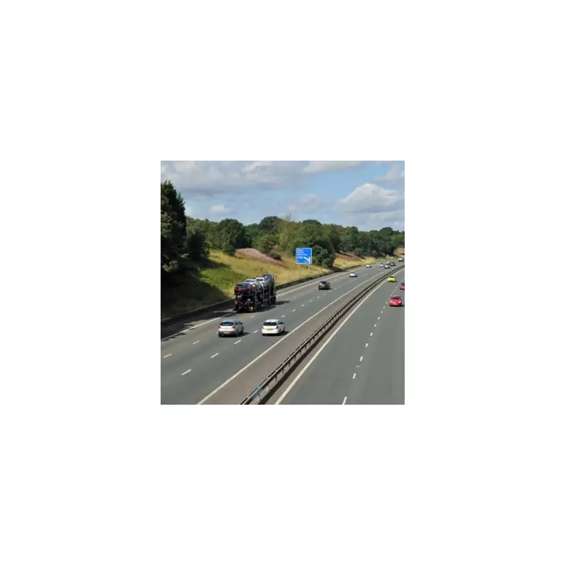 Labour urged to impose lifetime driving bans for repeat offenders