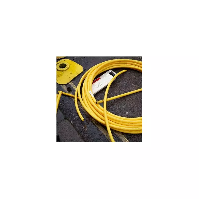 Major UK Broadband Provider Collapses into Administration Amid Rodent Damage Crisis