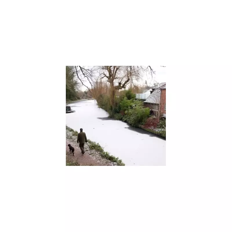 Met Office Issues 24-Hour Snow Warning: 20cm Forecast for Scotland