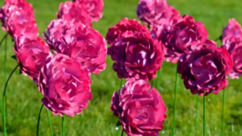 Metal Peony Display at Oakwell Hall to Support Hospice Care This Spring