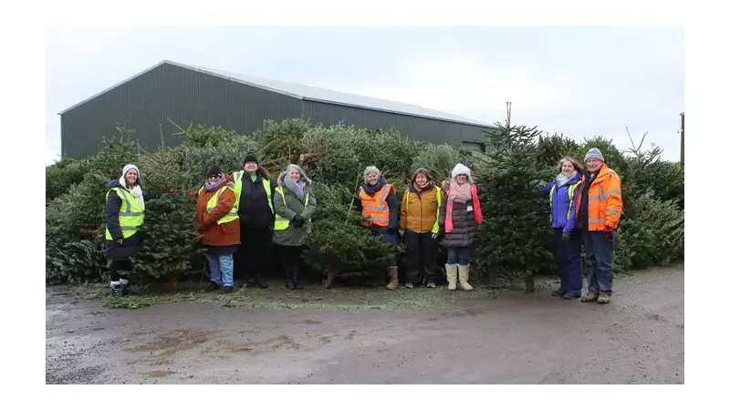 Mid Essex Recycles 3,754 Christmas Trees, Raising £74.3k for Farleigh Hospice