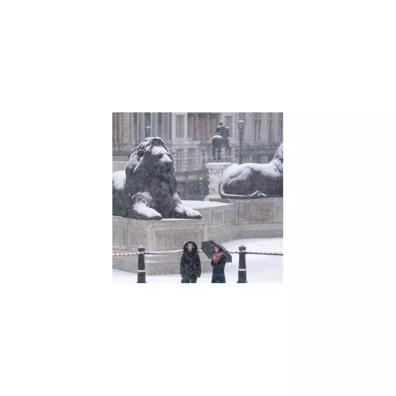 Midlands Braces for 50cm Snow Bomb as Weather Maps Turn White