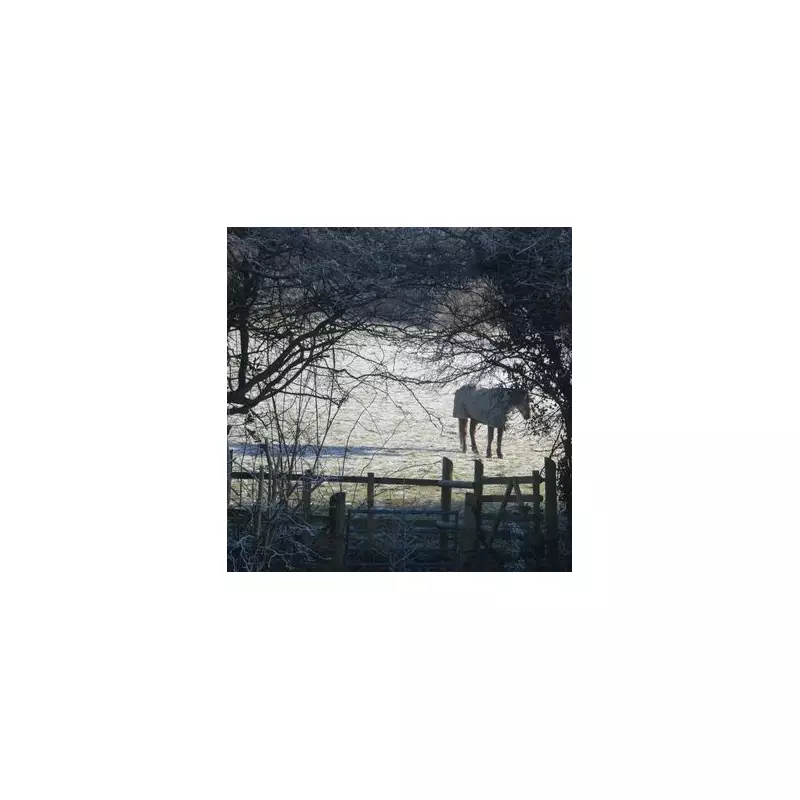 Midlands Braces for Third Snowfall of January with 5.2cm Forecast