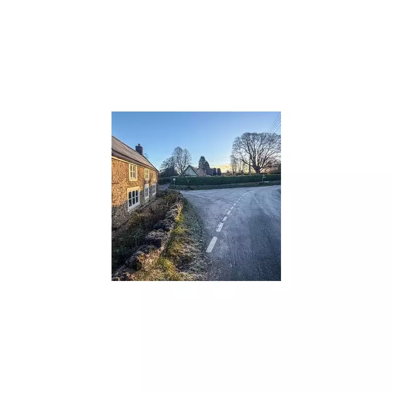 MPs Demand Highway Code Update to Protect Horses, Cats, and Wildlife