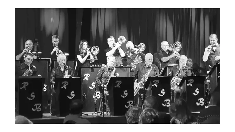 Musician's 'Last Hurrah' Concert to Boost Hospital Charity Funds