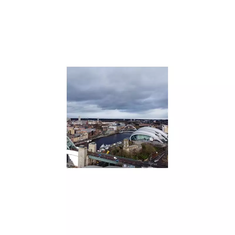 North East Business Activity Stabilises as Demand Rebounds in December