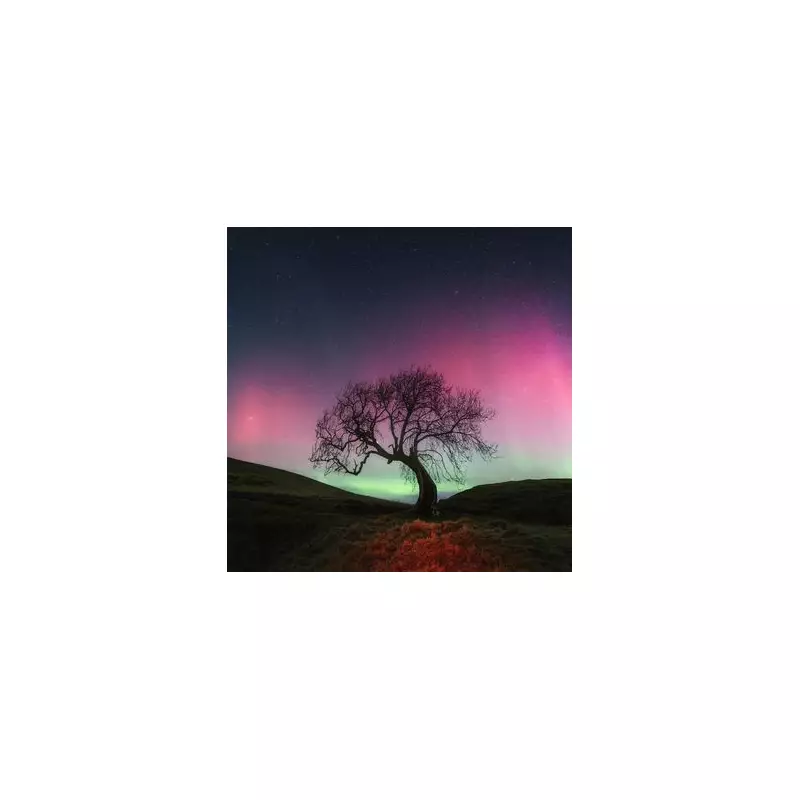 Northern Lights Forecast: UK Braces for Spectacular Aurora Display This Week