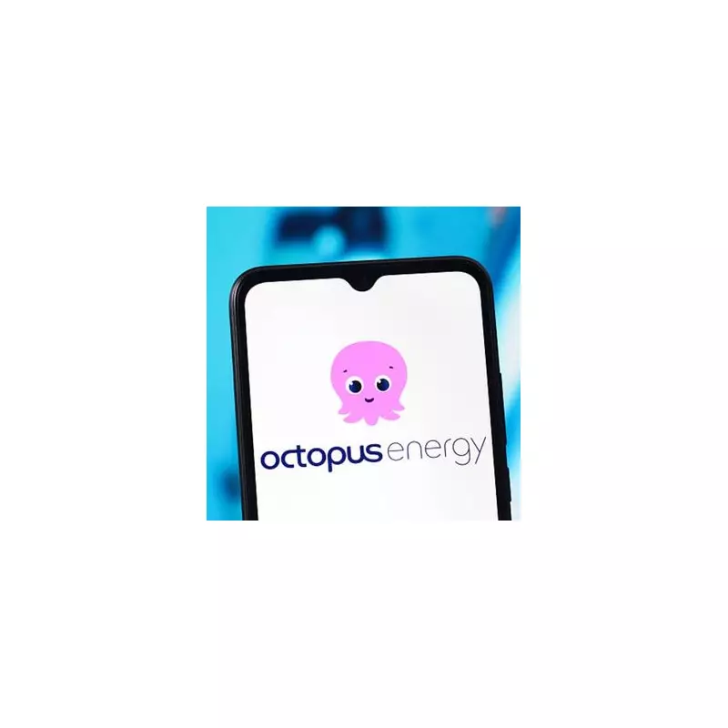 Octopus Energy Customers Report £120 Monthly Bill Reduction Through Green Upgrades