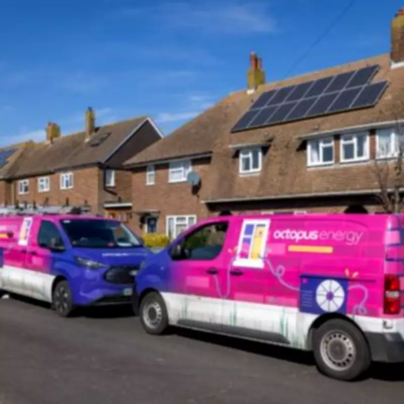 Octopus Energy's February Lifeline: Freebies & RAYE Ticket Competition