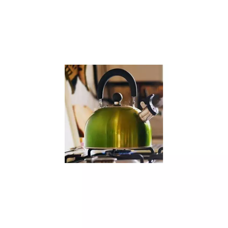 Ofgem Issues Urgent Guidance for Energy Customers Facing Supply Issues