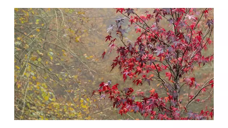 Photography Prize: Win Tickets & Tour at Belton's IGPOTY Exhibition