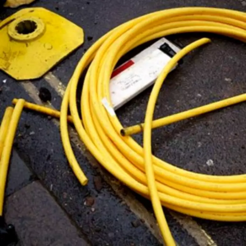 Rat Infestation Chews Through Broadband Firm: G Network Forced Into Administration