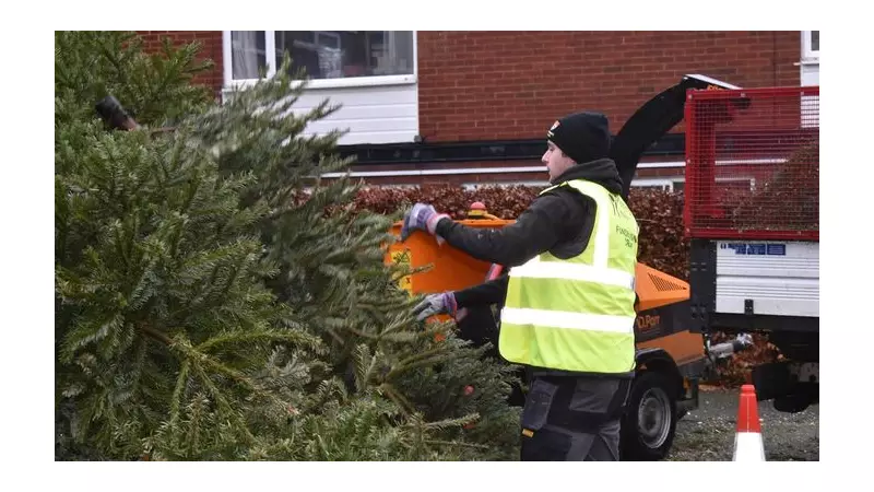 Record £84k Raised as Pilgrims Hospices Recycle 4,600 Christmas Trees