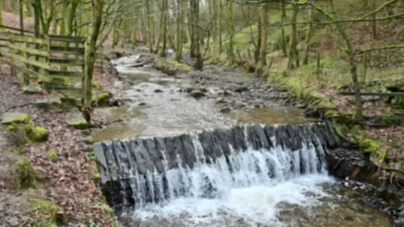 Rossendale Ramblers Conquer Winter Walks Despite Challenging Weather