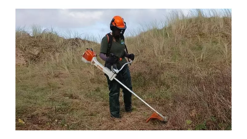 Sefton Coast Rangers Fight to Save Tiny Petalwort After Drought