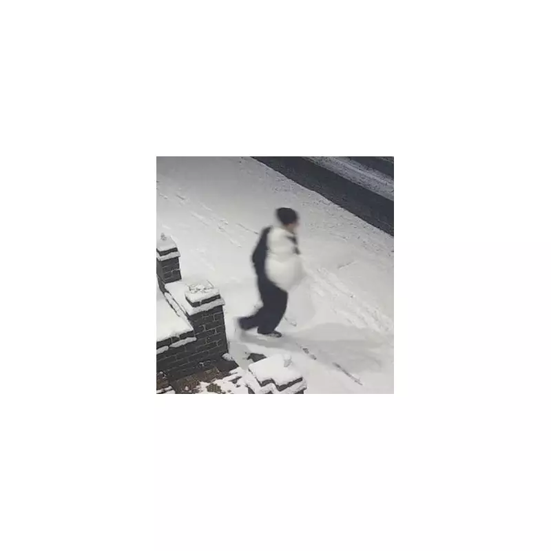 Snowman Stolen From Stoke-on-Trent Pub Wall in Bizarre Theft