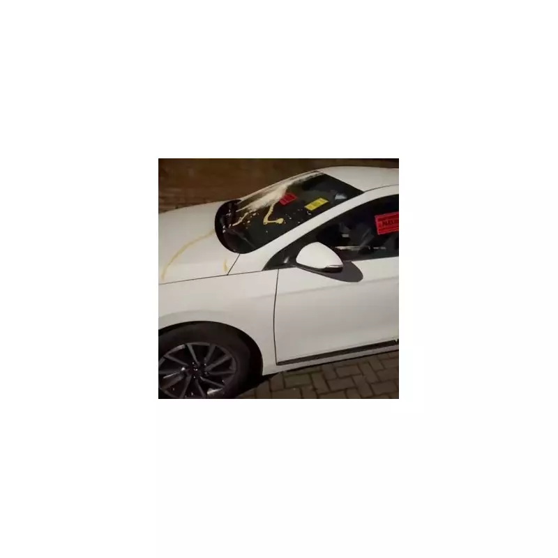 Southall resident pelts cars with eggs and flour in fake parking ticket protest