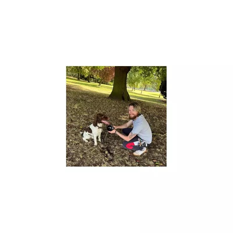 Springer Spaniel's Lucky Escape: Stick Found Piercing Stomach After Garden Play