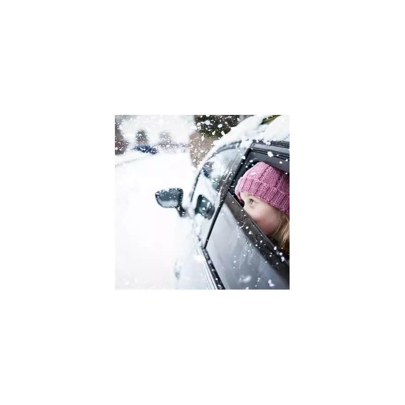 Storm Gertrude Forces Black Country Road Closures and Disruption