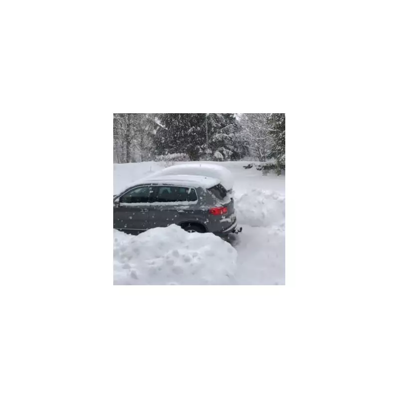 Storm Goretti: Birmingham Told to Stay Indoors as Amber Snow Warning Issued