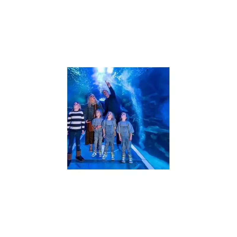 Storm Goretti Forces Closure of Birmingham's Sea Life Centre and Cadbury World