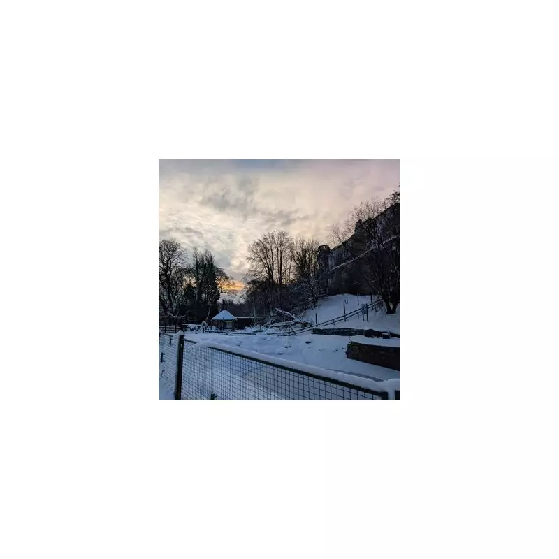 Storm Goretti Forces Two West Midlands Zoos to Extend Weekend Closures