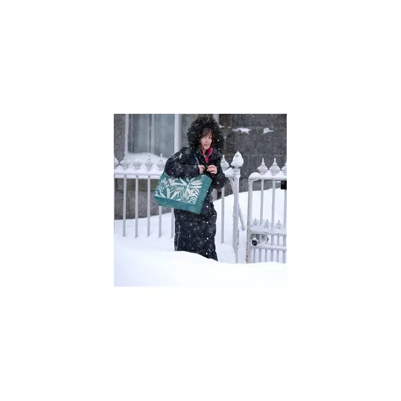 Storm Goretti: Met Office's 5-Point Plan for Birmingham as Amber Snow Alert Issued