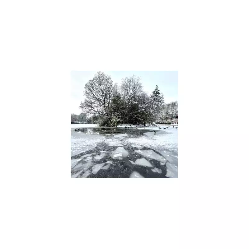 Teenager rescued after falling through ice at Stoke park lake