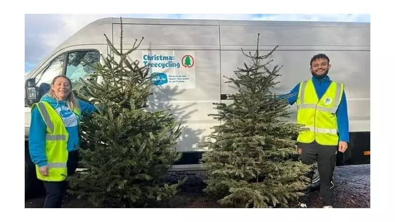 Thames Valley's Treecycling Triumph Raises £27k for Sue Ryder Care
