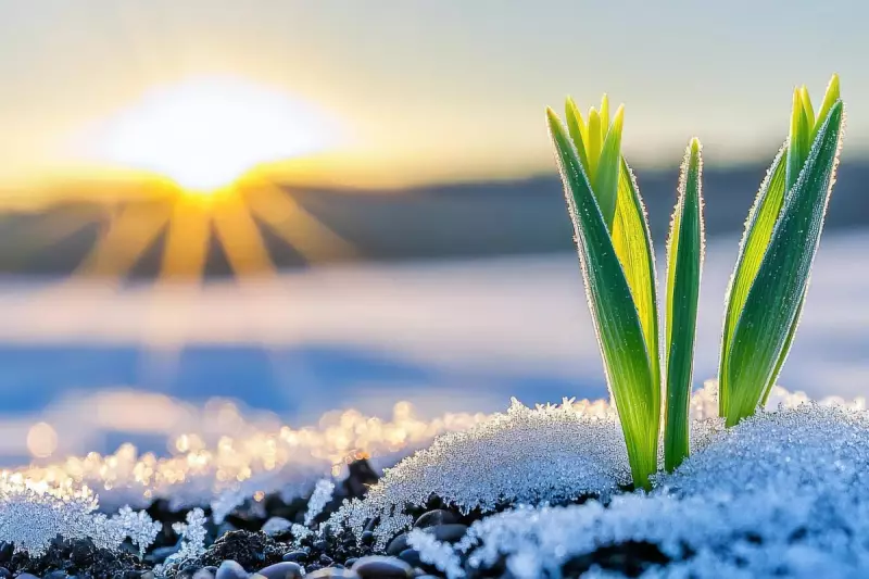 Top 10 Refreshing Birmingham Spring Walks to Boost Your Fitness Goals