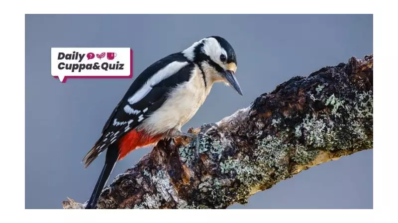 Tuesday Quiz: Test Your Knowledge on History, Sport & Trivia